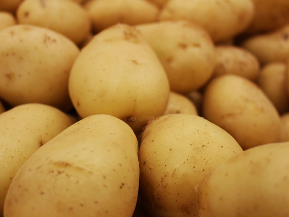 Local Gold Potatoes