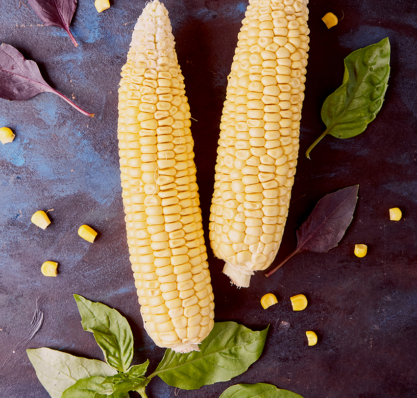 fresh local sweet corn local fare jax fresh local sweet corn local fare jax