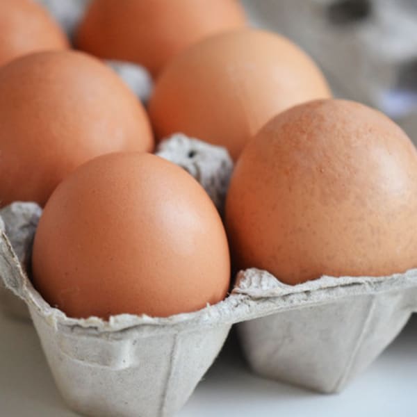 RAW MILK wainright jacksonville fl local fare